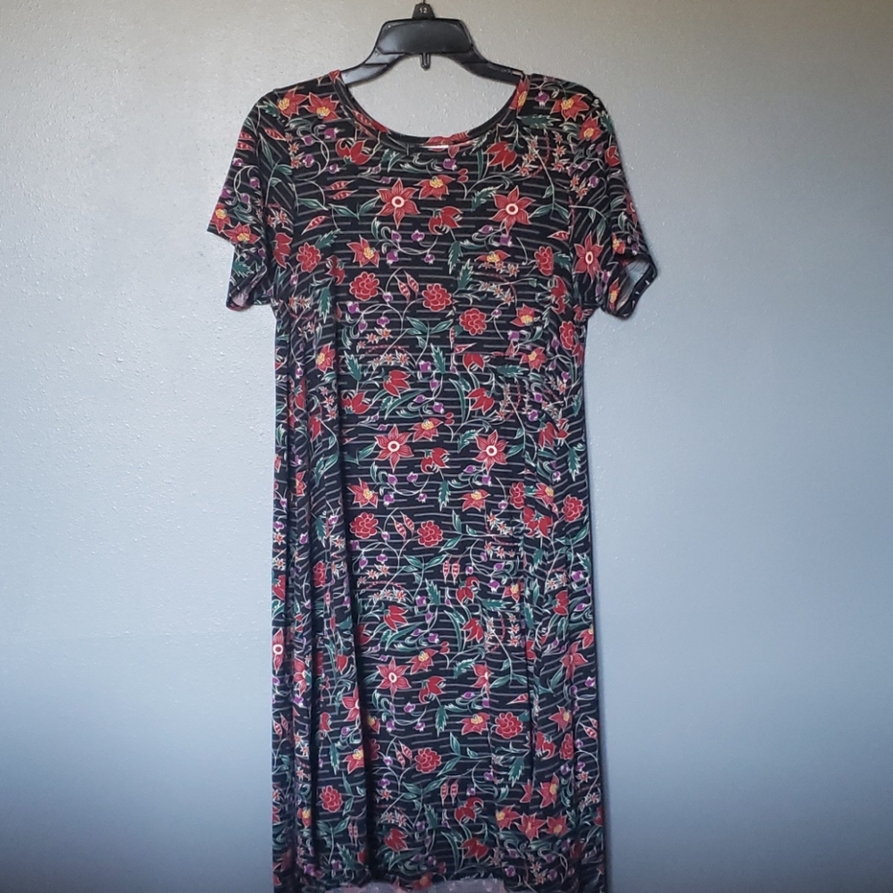 Floweryand striped Lularoe Carly dress